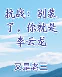 抗战：别装了，你就是李云龙